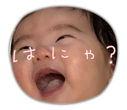 843552687