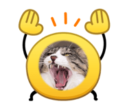 843552755