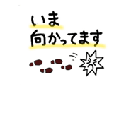 843552778