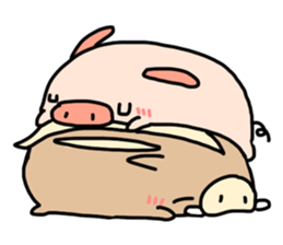 843553
