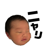 843553008