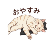 843553060