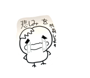 843553173