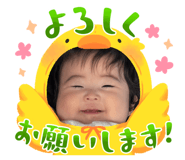 843553381
