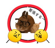 843553510