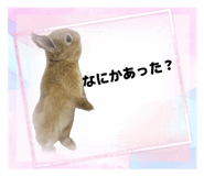 843553513