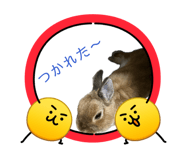 843553515