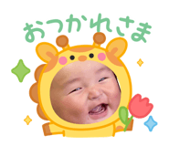 843553627