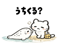 843553646
