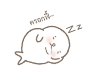 843554095