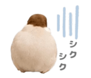 843554158