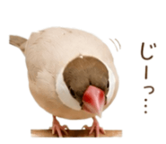 843554167