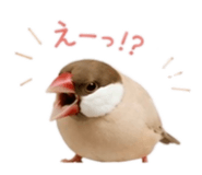 843554169