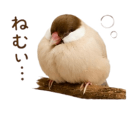 843554176