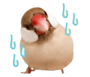 843554183