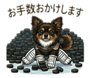 843554628