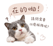 843554681