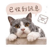 843554682