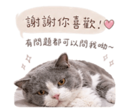 843554683
