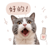 843554684