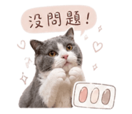 843554685