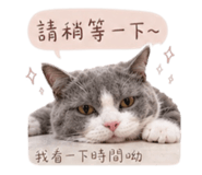 843554686