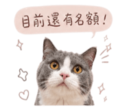 843554690