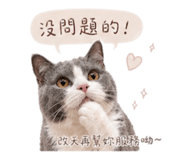 843554693