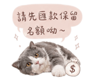 843554694