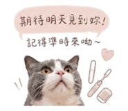 843554696