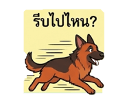 843554737