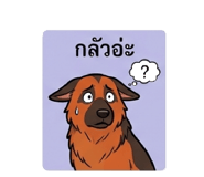 843554743