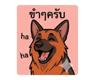 843554744