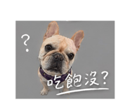843554956