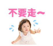 843555012