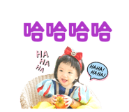 843555016