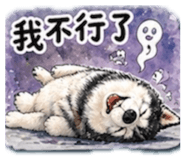 843555248