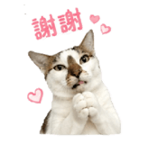 843555545