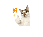 843555546
