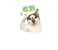 843555547