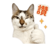 843555550