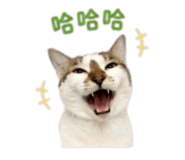 843555555