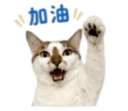 843555560