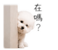 843555617