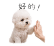 843555621