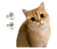 843555939
