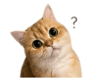 843555943