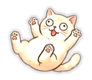 843556525