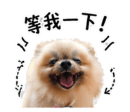 843556725