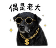 843556733